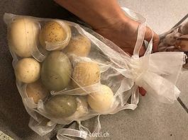 Kugeln für Osterbaum