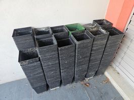 Anzuchttöpfe 15x15cm