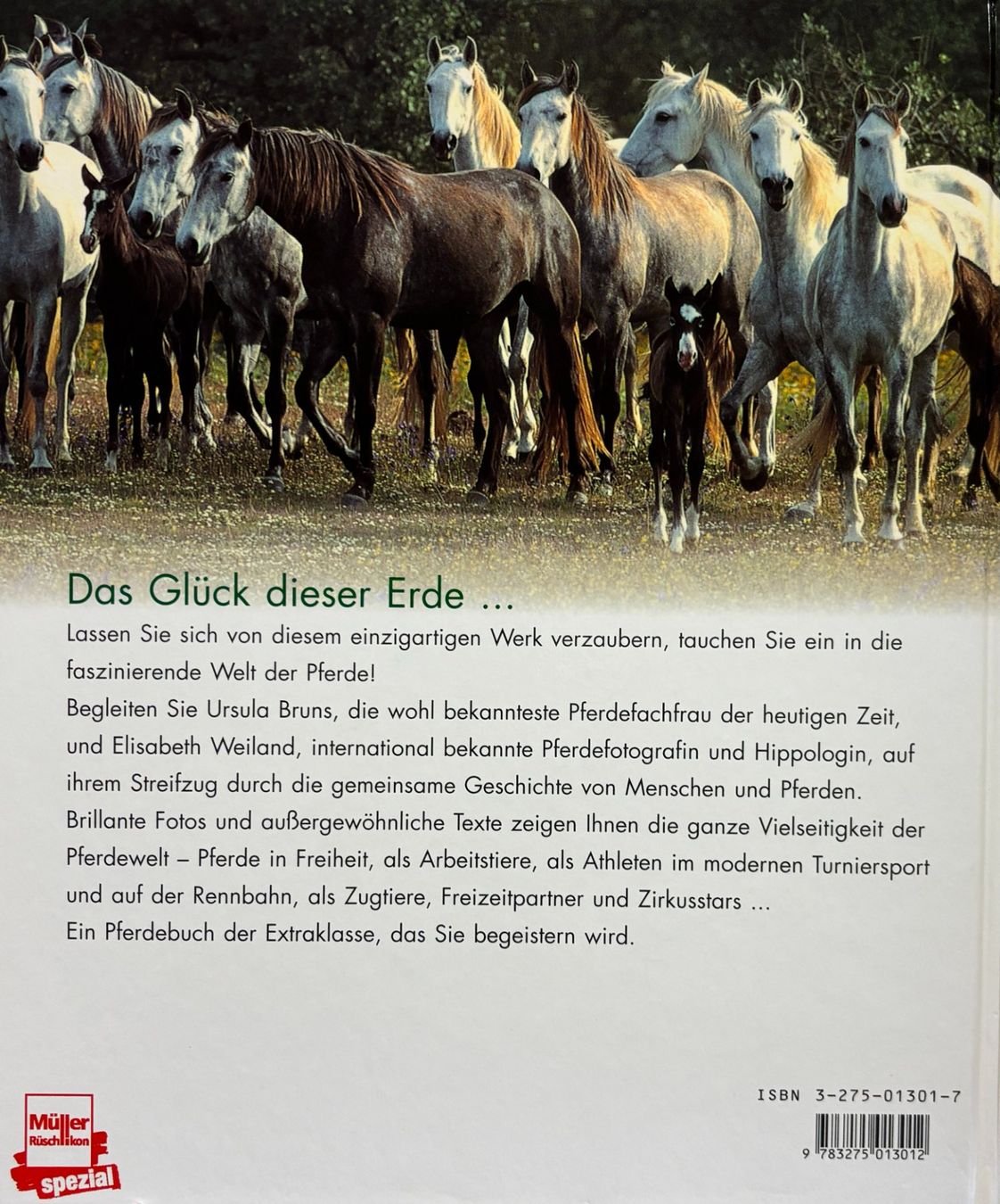 Libri: Zauber der Pferde – Nuovo (secondo la descrizione) da Sarnen venduto da Livres 1