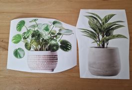 ❣️2 KLEBEFOLIEN , BLUMENTÖPFE, HINTERGRUND IST TRANSPARENT