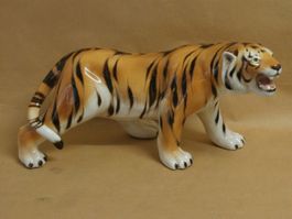 Tiger Porzellan Zoo Afrika Indien Jagd Trophäe Abschuss etc