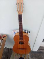 Vintage Classic gitarre