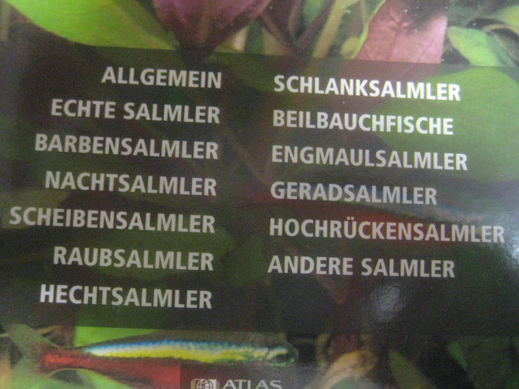 Libri: GROSSER SAMMEL  ORTNER  AQUARIUM – Nuovo (secondo la descrizione) da Uster venduto da flocke1 4