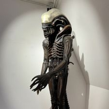 Profile image of Rylan21