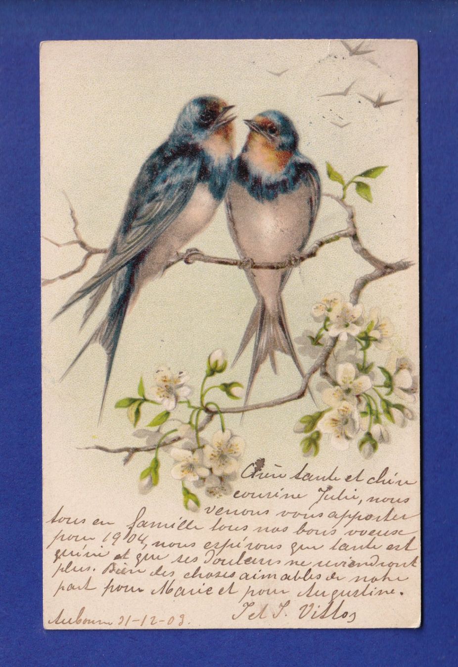 Cartoline postali: OISEAU - Hirondelles – Usato da Pully venduto da nicecards-shop