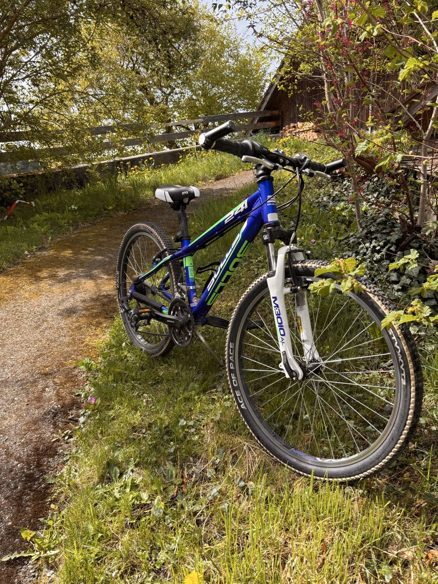Bulls Biciclette: Bulls Tokee – Usato da Sumiswald venduto da sc_markus
