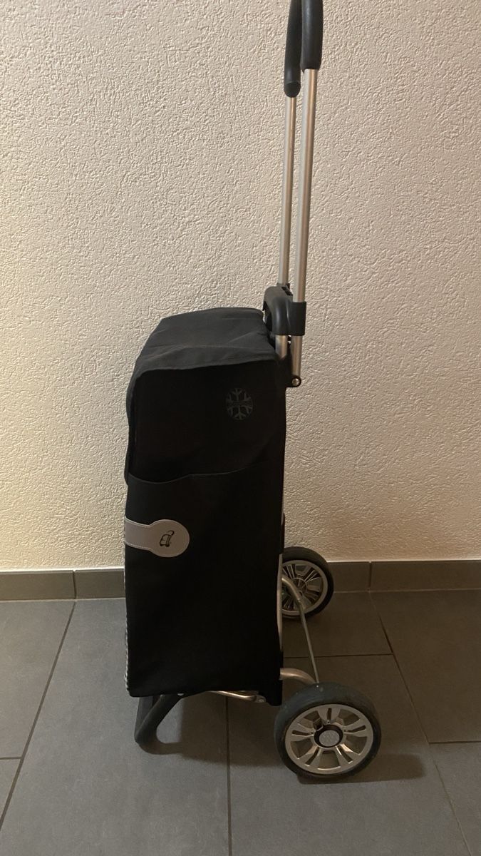 Culle: Einkaufswagen – Nuovo (secondo la descrizione) da Gipf-Oberfrick venduto da Decianni 1