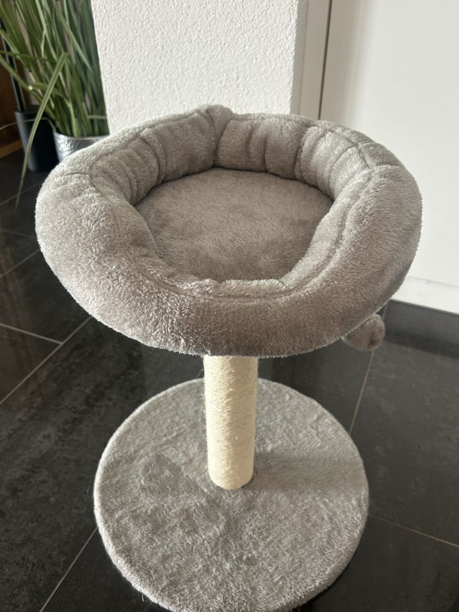 Katzenbaum (Gebraucht) in Bubikon fr CHF 5  nur Abholung auf Ricardo  kaufen