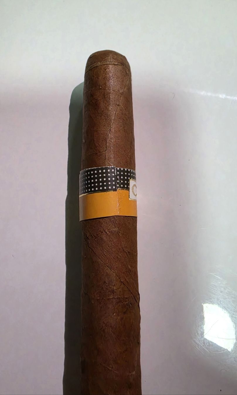 Cohiba Sigari: Cohiba Esplendidos Zigarren 23Stk – Usato da Winterthur venduto da xXSchwwizXx 9