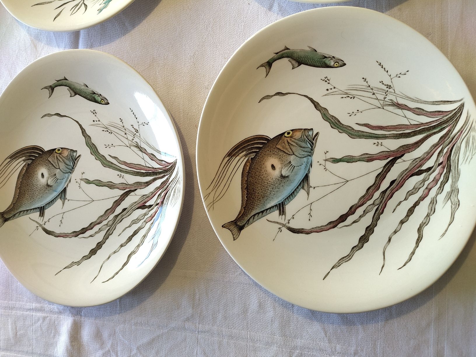 Johnson Brothers Services de table: Teller Set Johnson Bros Fish Design 11 – D'occasion à Biel/Bienne par DoNa82 1