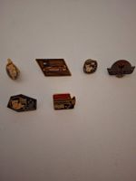 Pinsammlung Thema Polizei Schweiz