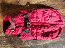 Hundemantel Puppia bordeaux Grösse L ca 32cm