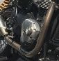 Sidecar: Triumph Thruxton 1200 R – Nuovo (secondo la descrizione) da Adliswil venduto da KatzenFuchs 1