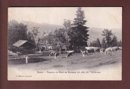 Chalet-Pension du MONT DE BAULMES - Vaches - 1906 // pli //