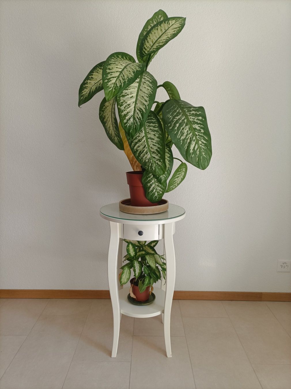 Cassettiere: Meuble blanc pour la decoration – Usato da Lausanne venduto da hdo_d2mm