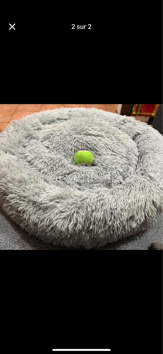 Kissen: Coussin cosy pour animaux – Neu und originalverpackt aus Lausanne von Ale_x_ia