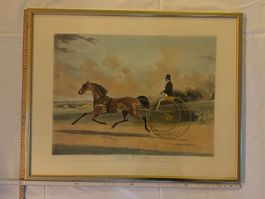 Altes Bild "Lord William" im goldenen Rahmen, Top Zustand