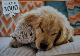 Puzzle 1000 pezzi Cucciolo Dormiente nuovo mai aperto 