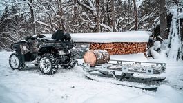 Remorque hiver pour motoneige et quad à chenilles