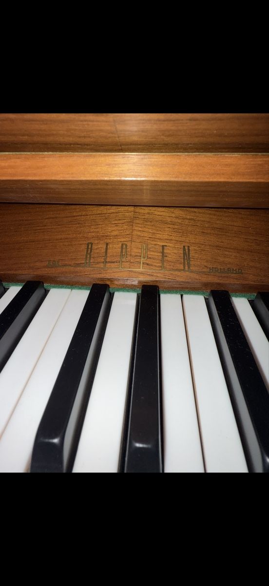 Strumenti musicali: Klavier RIPPEN + Klavierhocker – Usato da Muttenz venduto da Amko85 1