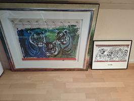 Bilder Rolf Knie