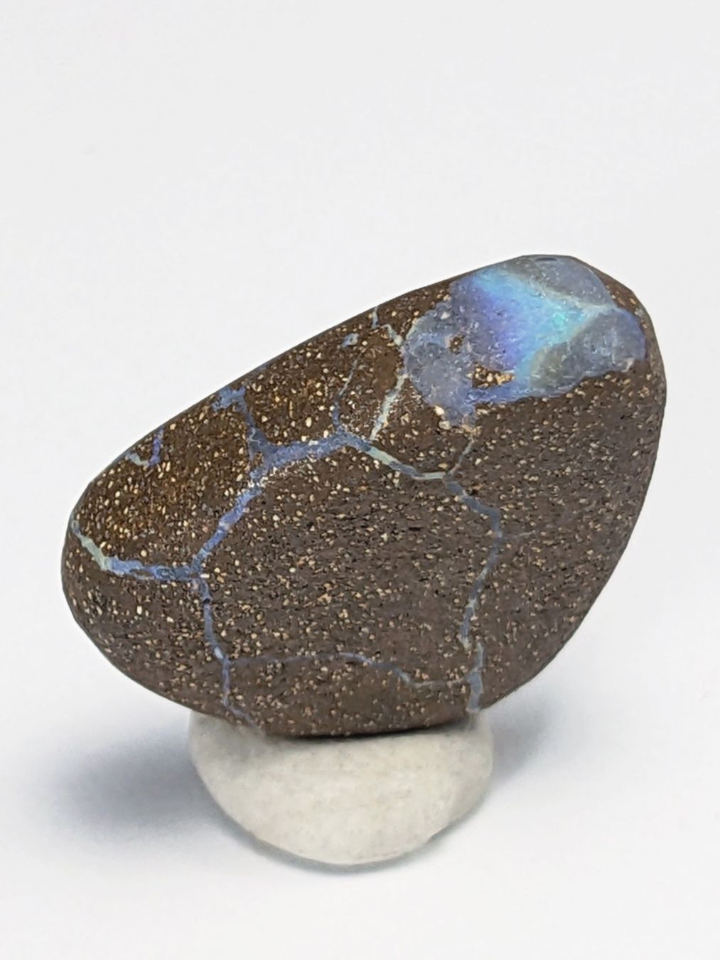Minerali & Pietre curative: Boulder Opal 29.55ct - 25mm – Nuovo e nell'imballaggio originale da Meilen venduto da StoneGarden