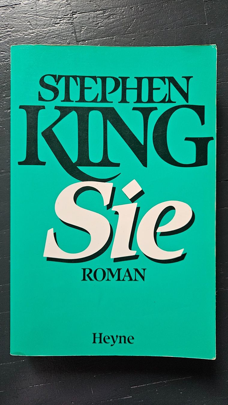 Libri: Stephen King Roman Sie Heyne Verlag – Usato da Basel venduto da True_Hofer_Store