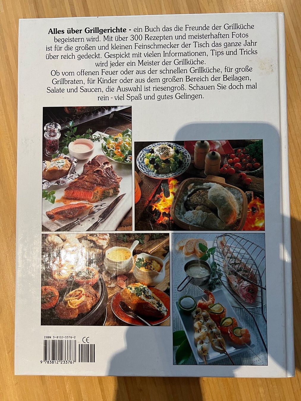 Libri: Grillbuch: Alles über Grillgerichte – Usato da subingen venduto da gibo11 1