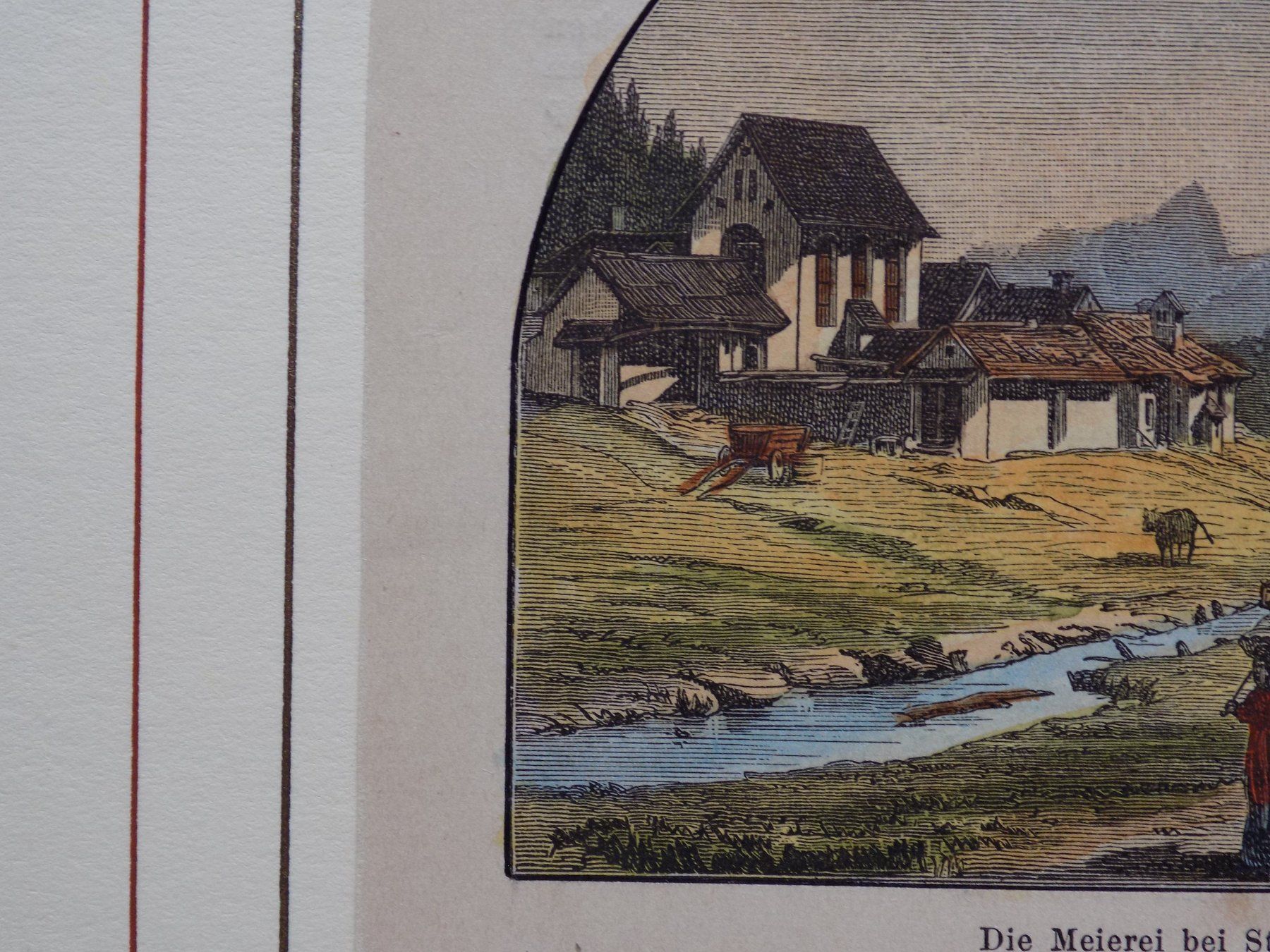 Incisioni: St.Moritz Meierei – Usato da Risch venduto da Rischli15 3