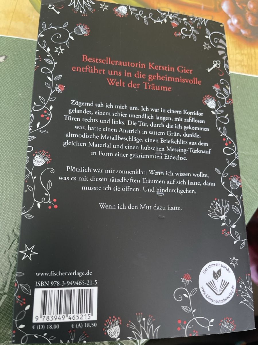Bücher: Kerstin Gier - Silber: Das erste Buch der Träume ✨ – Gebraucht aus Zürich von Belisimo 3