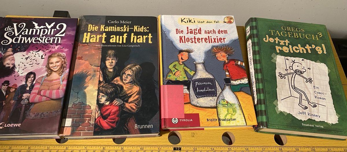 Libri: 4 Kinderbücher - Vampirschwestern, Gregs Tagebuch uvm. – Usato da Volketswil venduto da Ahot
