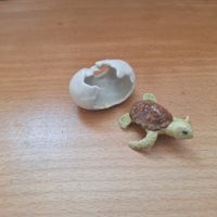 Kleines Deko Schildkrötli, Schildkröte aus Ei geschlüpft