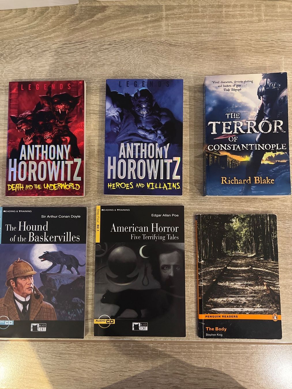 Libri: Horror-Bücher Sammlung: Horowitz, Doyle, Poe, Blake, King – Nuovo (secondo la descrizione) da Stalden VS venduto da Mister_20