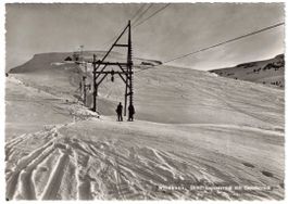 Wildhaus - Skilift Gamserruck