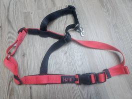 Halti Ausbildungsgeschirr Gr. L