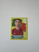 Ronaldo Panini Sticker