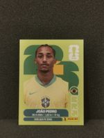 Panini Wm 2026 Sticker :Joâo Pedro Bra 16