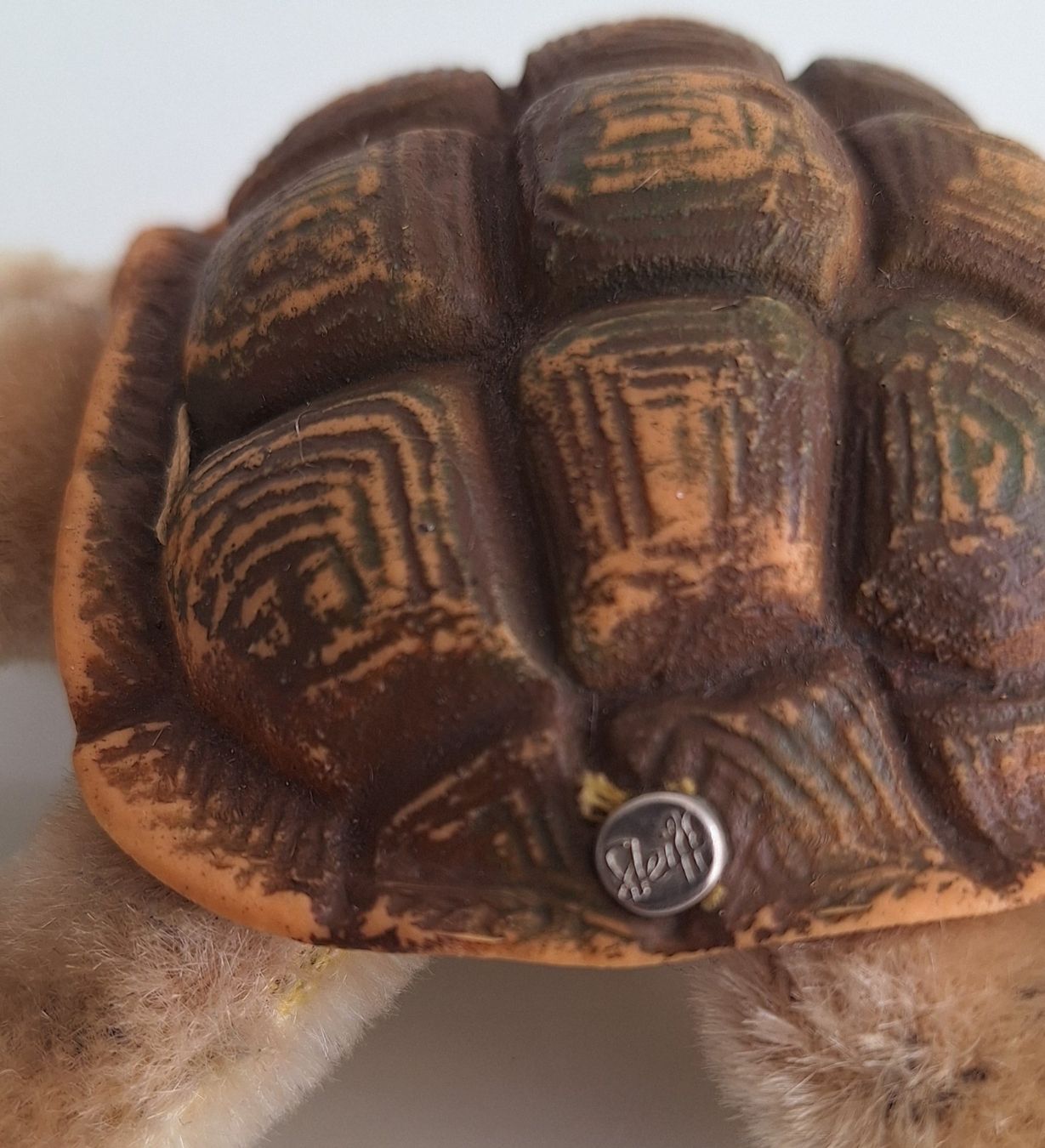 Steiff Giocattoli: Steiff Schildkrötte  Slo mit Knopf – Usato da Sissach venduto da luvama 4