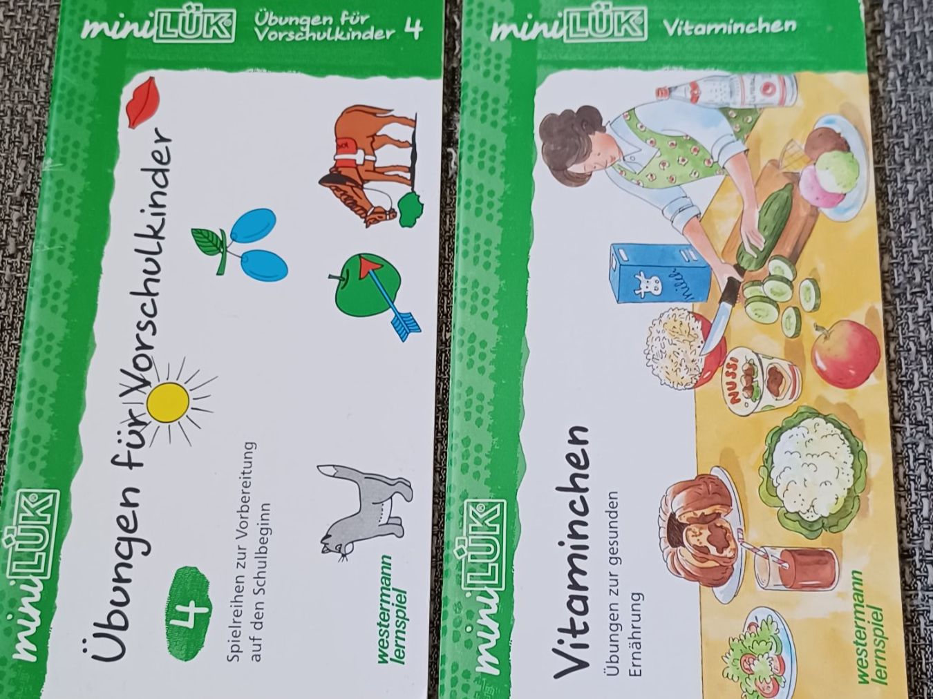 Libri: MiniLÜK Lernhefte Vorschule – Usato da Muhen venduto da sar_tb6l 1