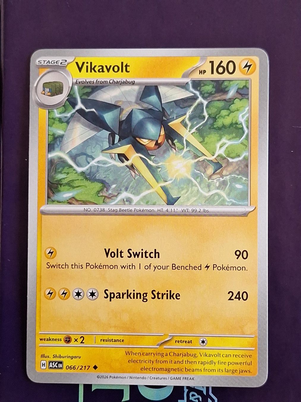 Pokémon Carte collezionabili: Vikavolt - Pokemon Ascended Heroes – Usato da Altstätten SG venduto da GGsGameshop