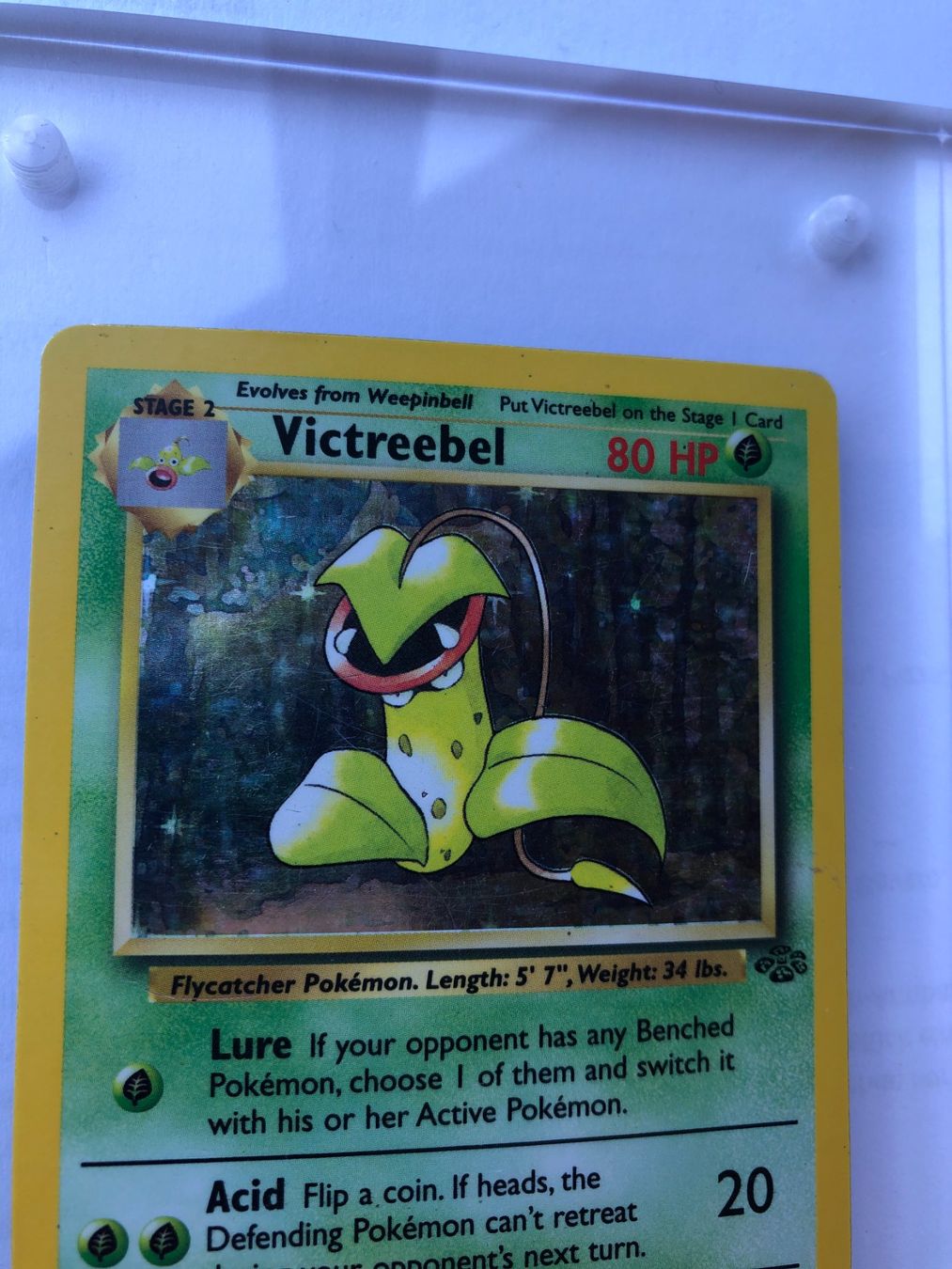 Carte collezionabili: Victreebel Holo Jungle - HP - ab 1.- – Usato da Giubiasco venduto da dan_pr8b 3