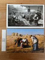 AK mit Bilder von Bauern Feld Arbeit