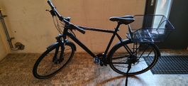 Fahrrad Winora Domingo