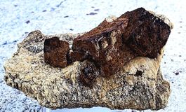 Mineral: Siderit mit Rutil