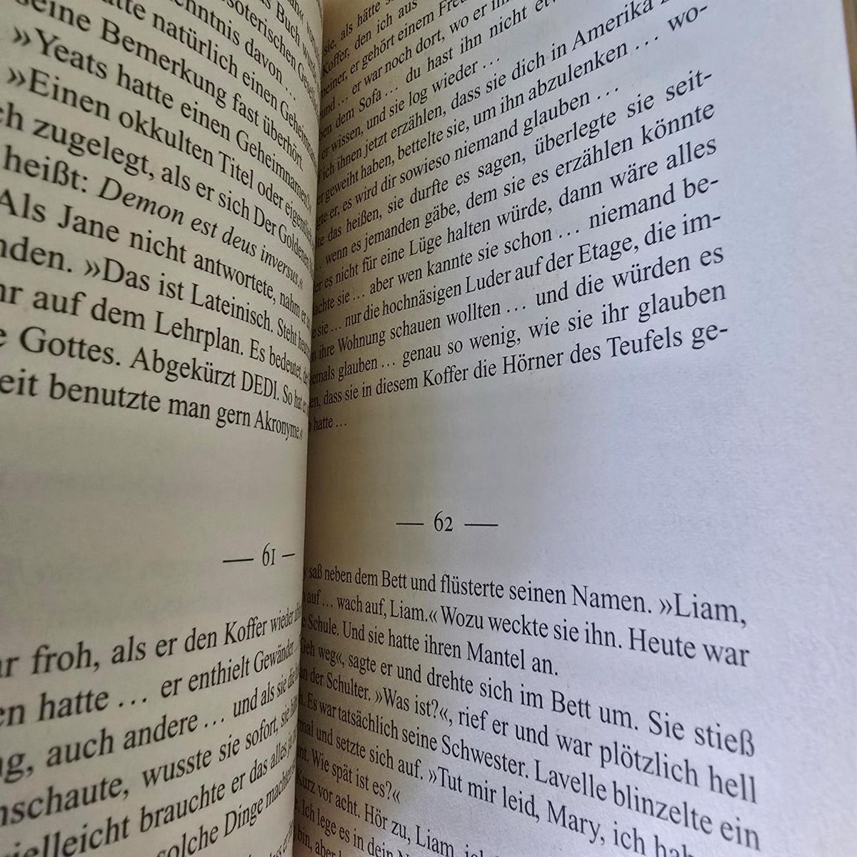 Libri: Die Keltennadel von Patrick Dunne – Usato da Merlischachen venduto da Sheavy 7