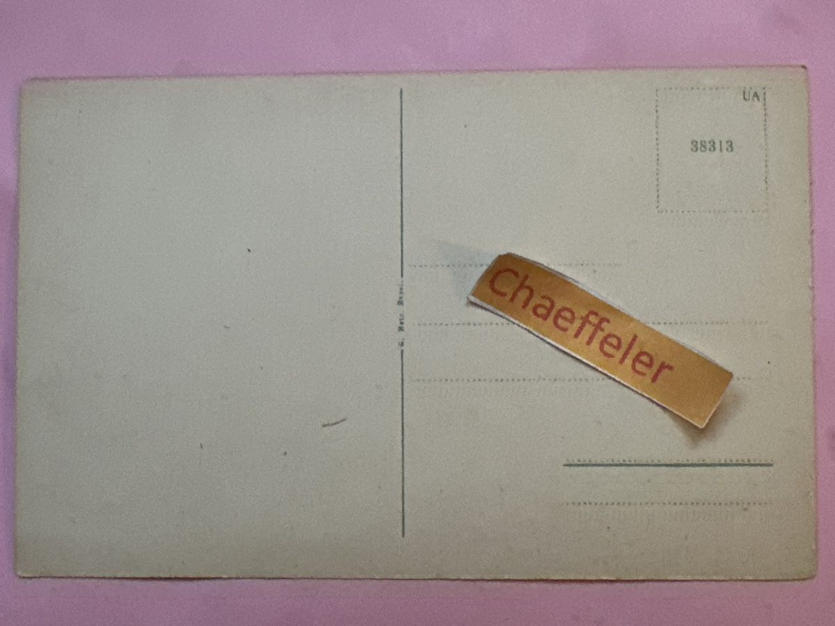 Cartes postales: Schloss Birseck – D'occasion à Zürich par Chaeffeler 1