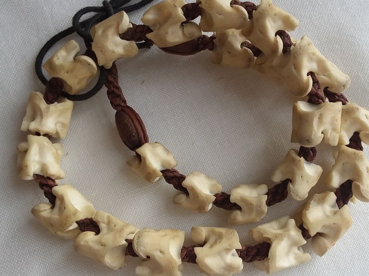 Catenine: Halskette Collier aus Schlangen Wirbelsäule/Knochen – Usato da Zürich venduto da helsan 7