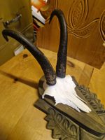Gamsbock