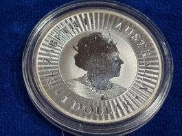 1. 1 Unze 999 Silber. 31.1 Gramm Feinsilber