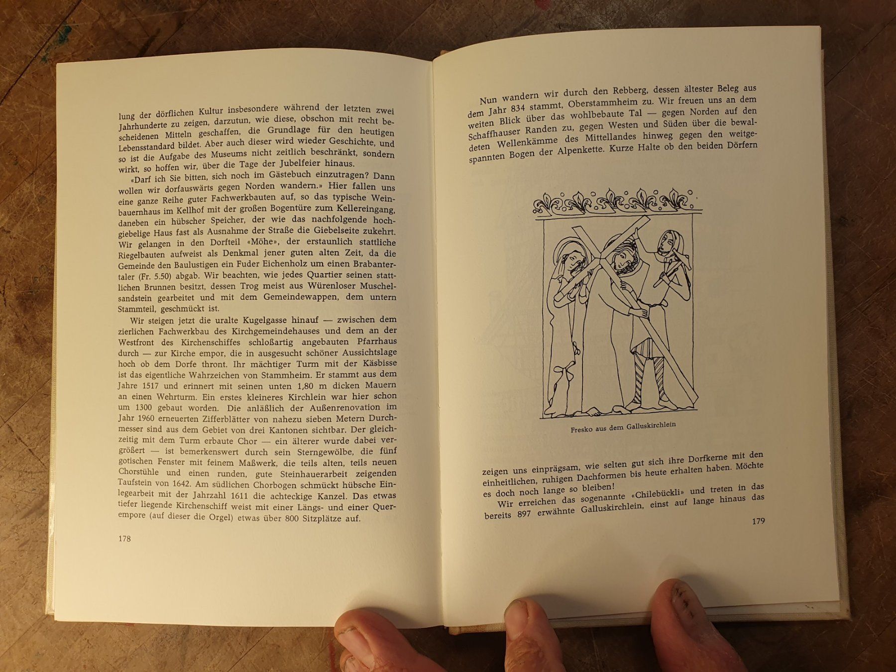Libri: Mein Stammertal – Usato da Zürich venduto da loosebone 7